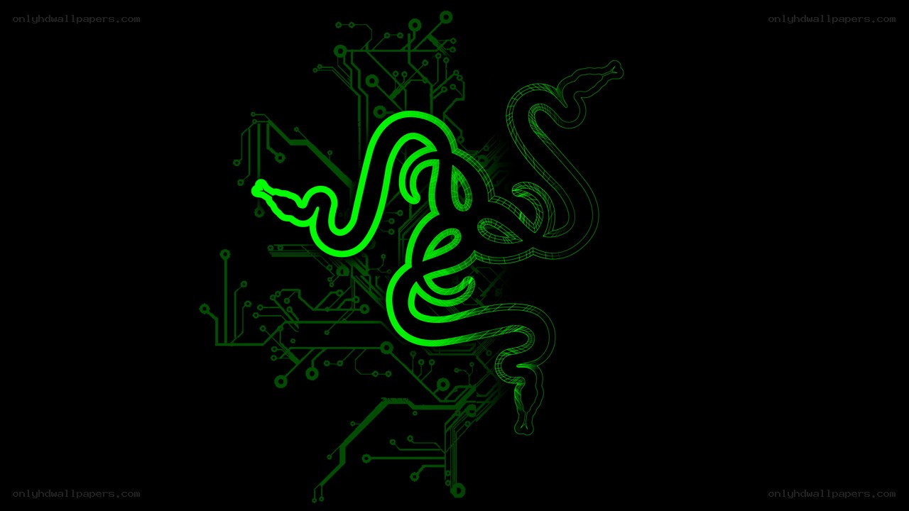 Razer logo on circuit board
