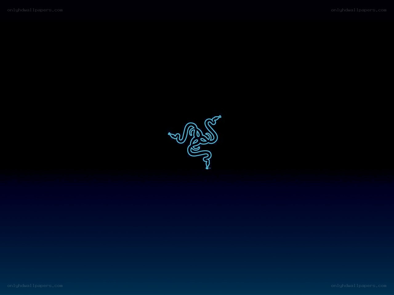 Razer logo on dark background