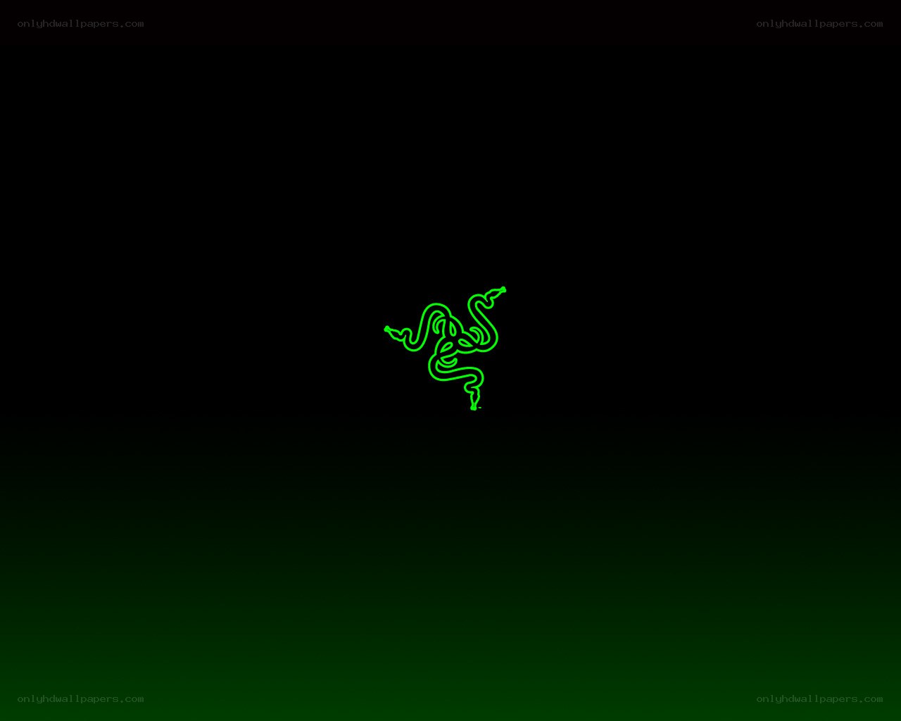 Razer logo on dark background