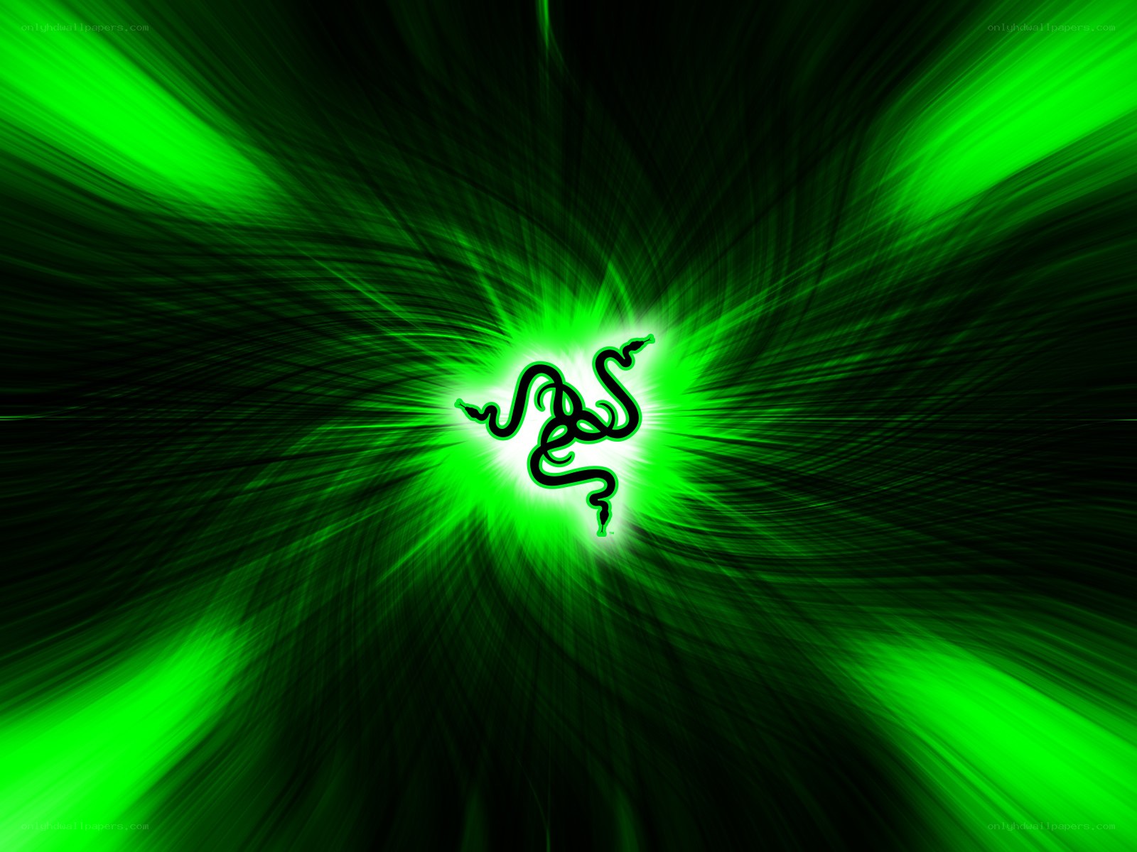 Razer logo on green background