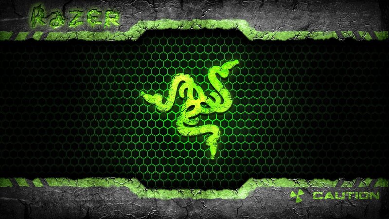 Razer Logo on Mesh