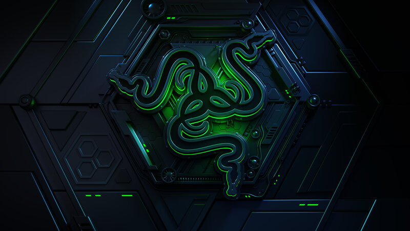 Razer Logo on Panel