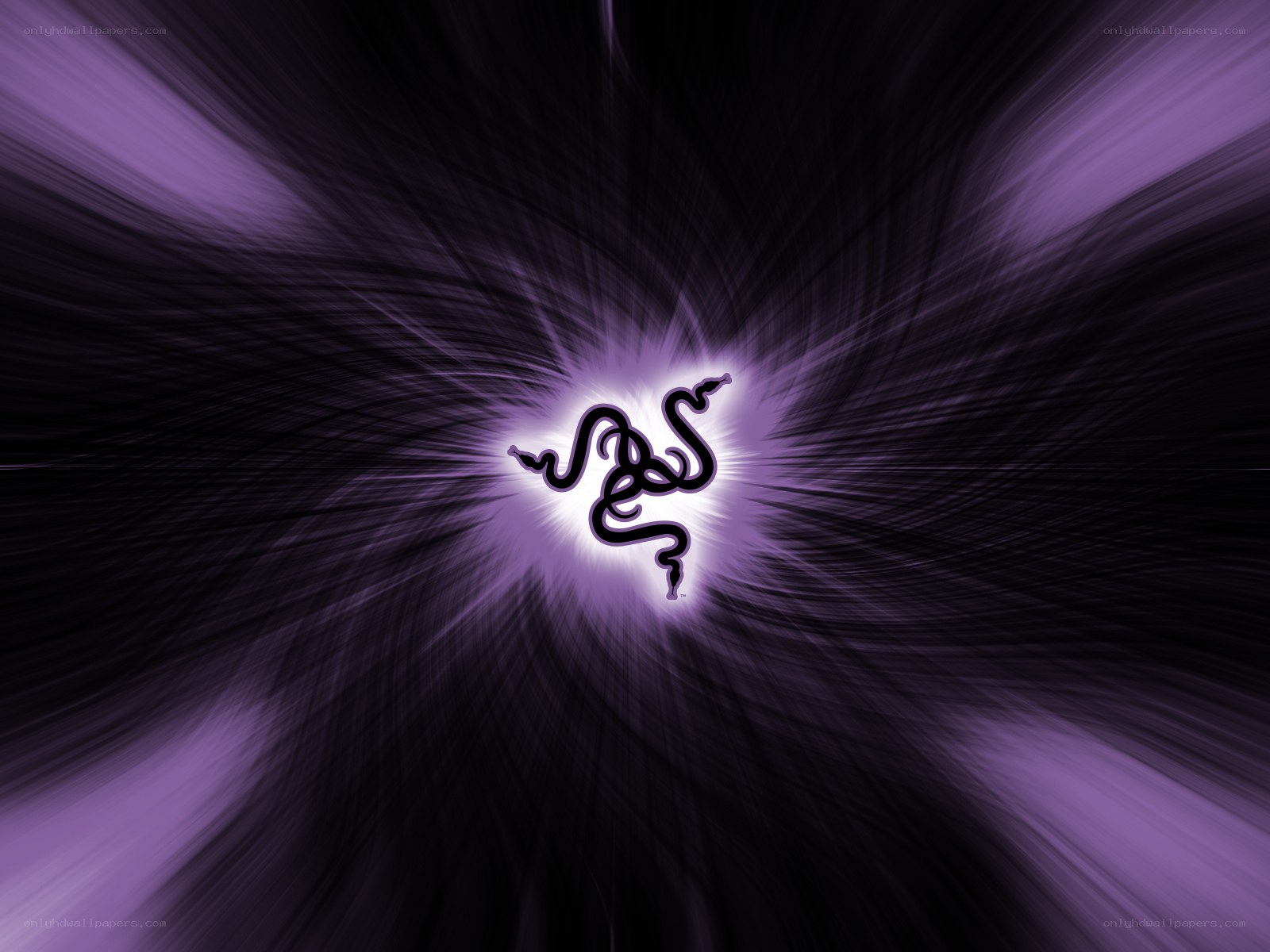 Razer logo on purple background