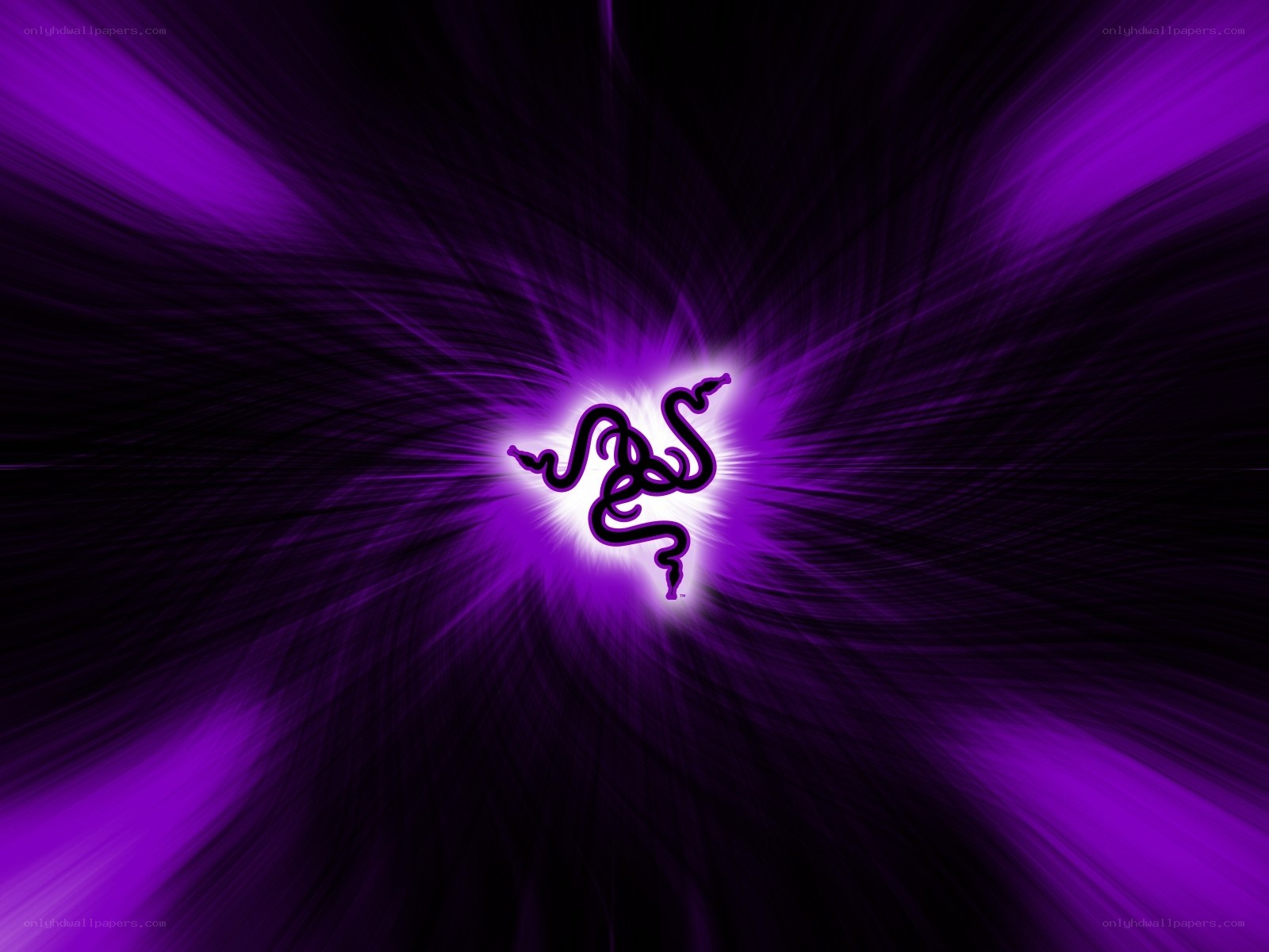 Razer logo on purple background