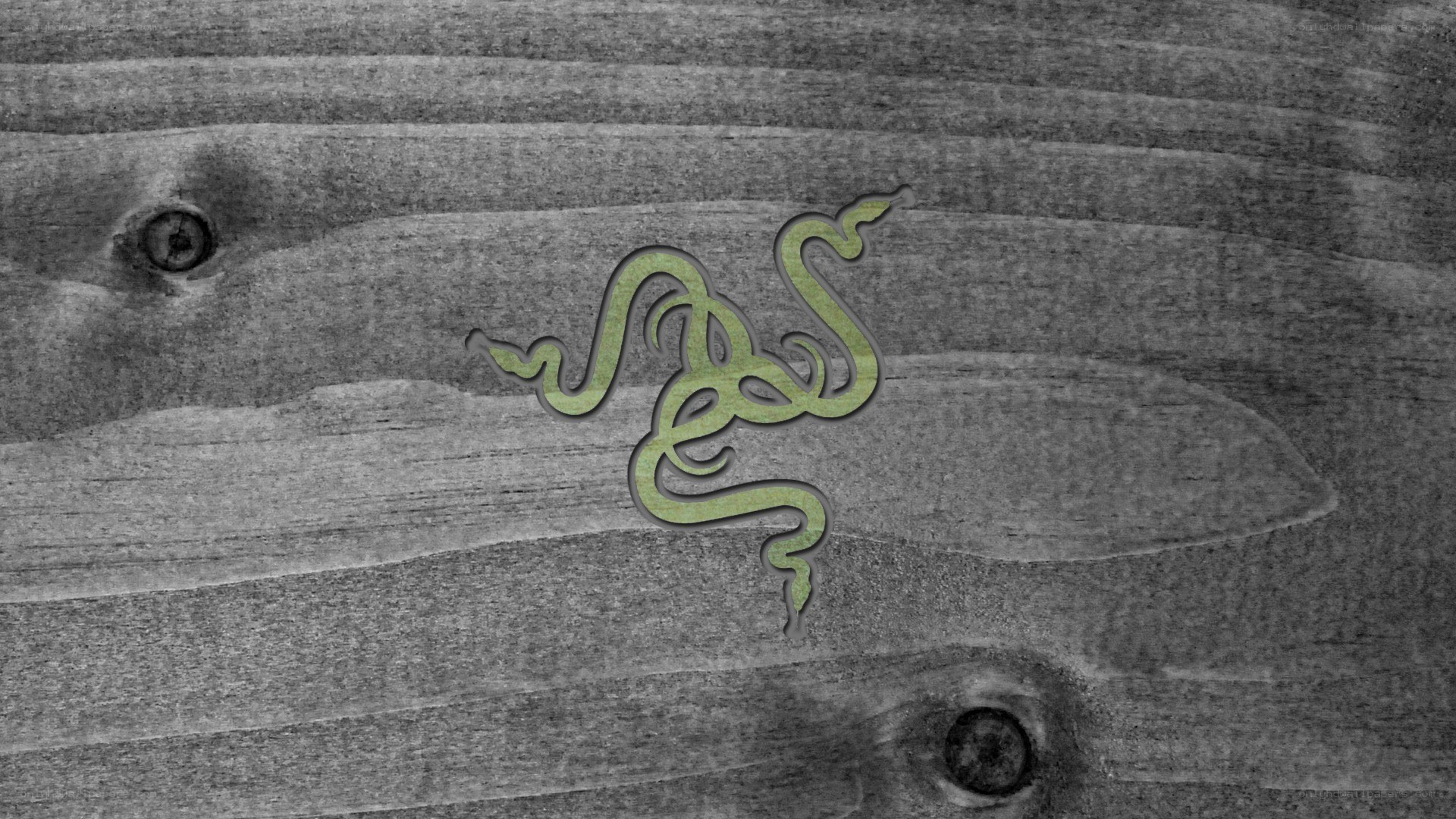 Razer logo on wood texture