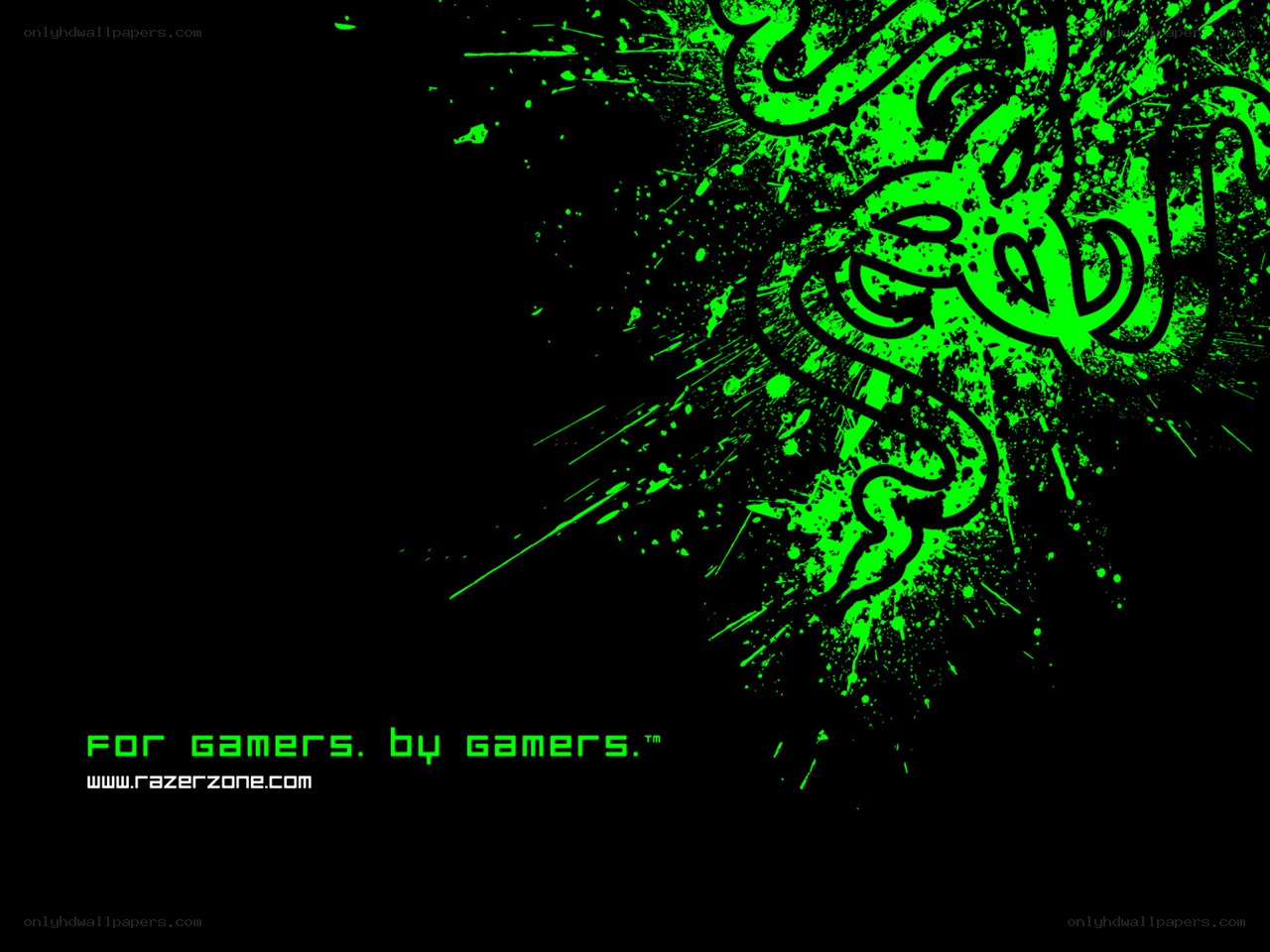 Razer logo wallpaper