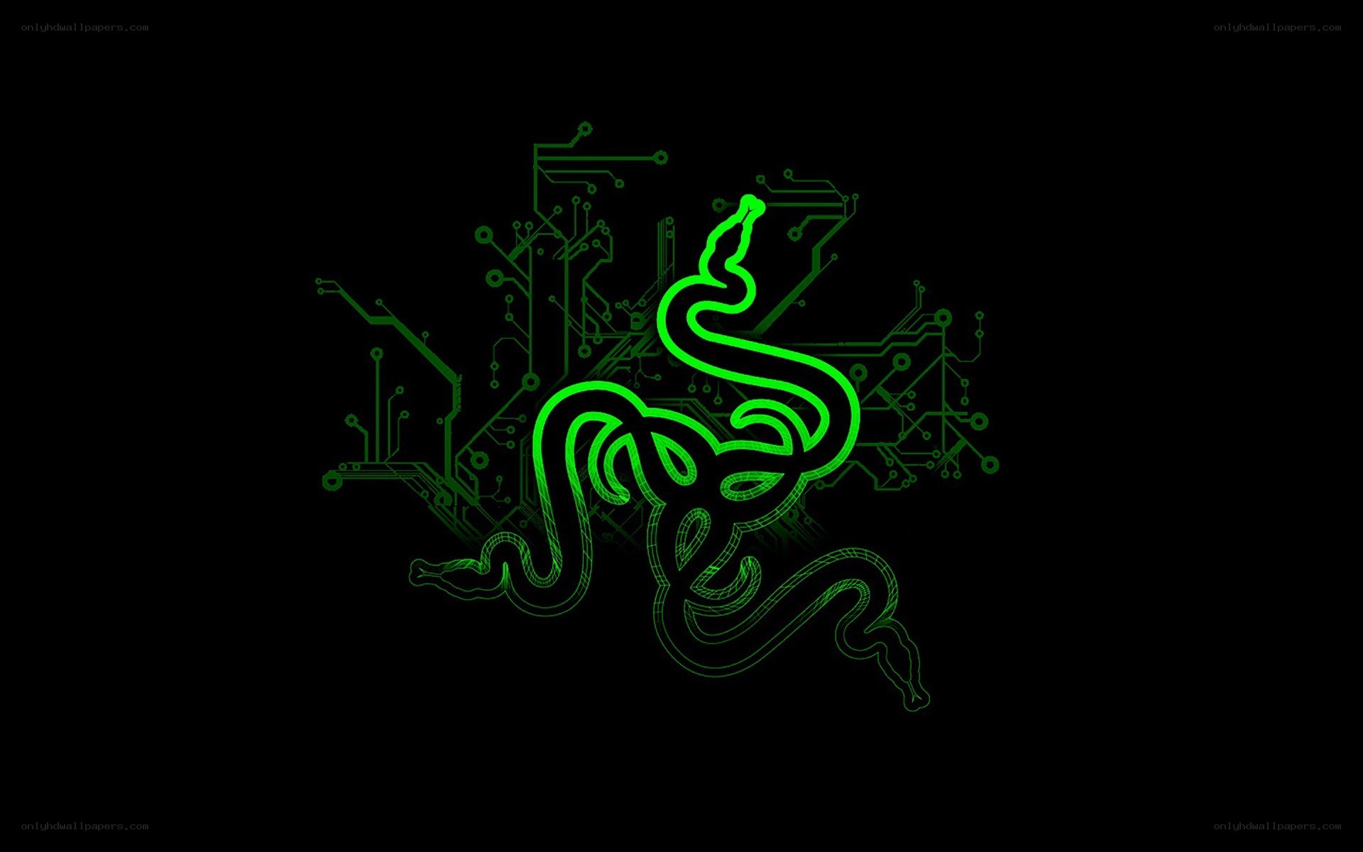 Razer logo with circuit design