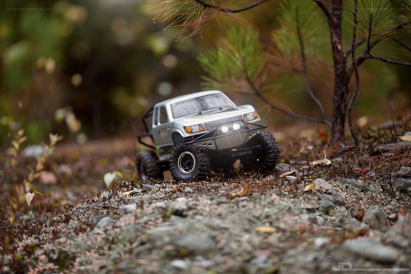 RC truck in forest terrain