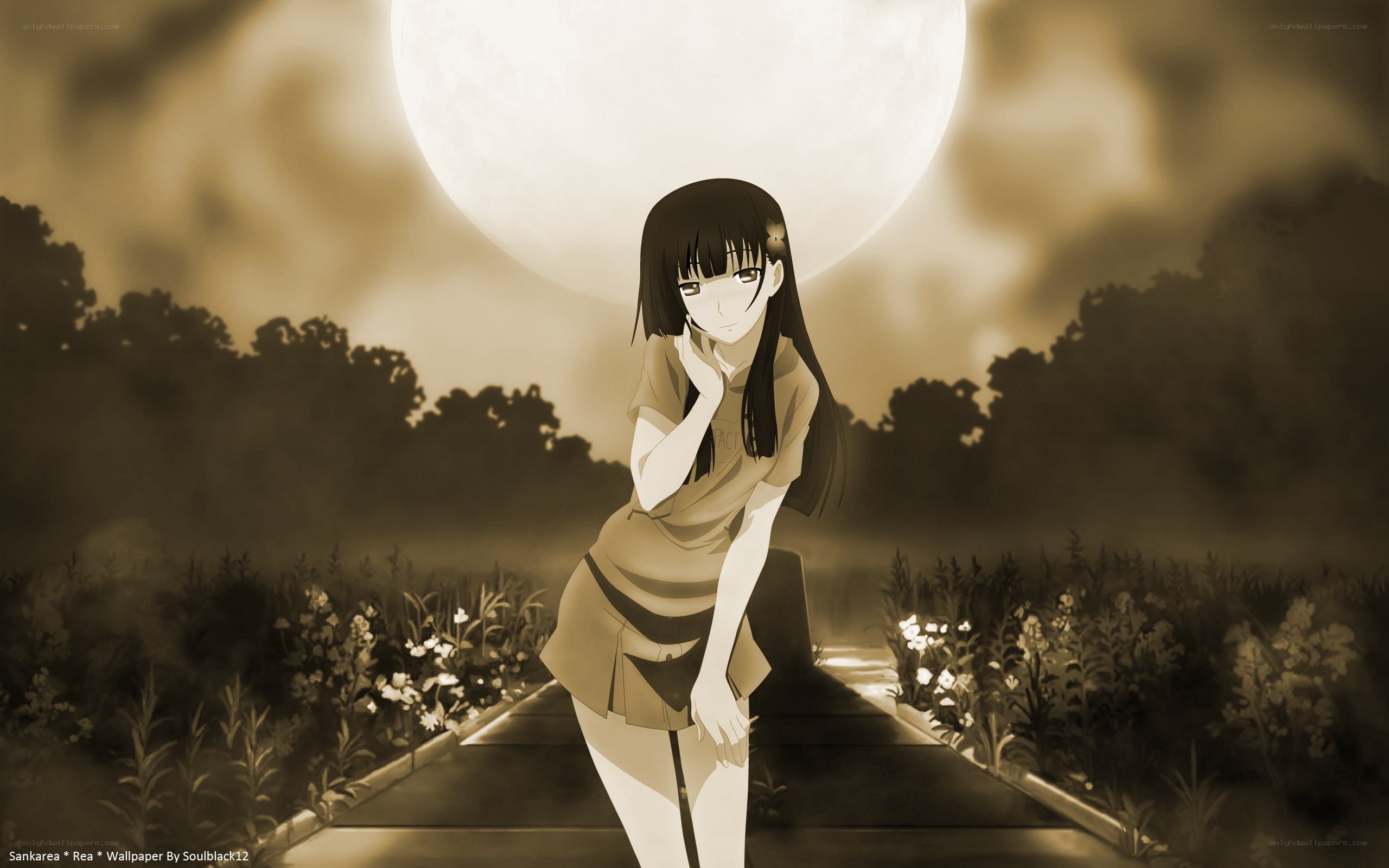 Rea under the moonlight