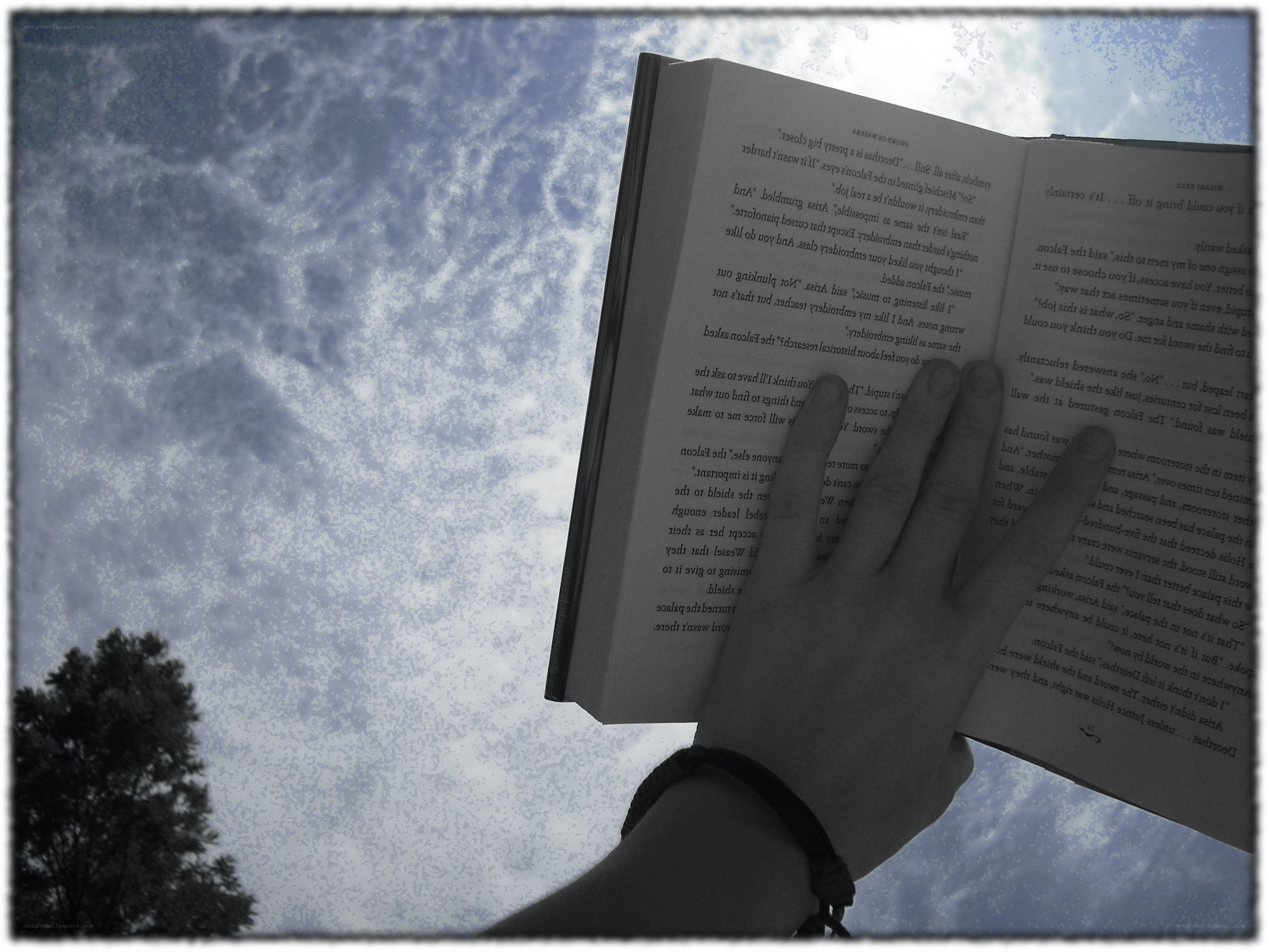 reading under the sky