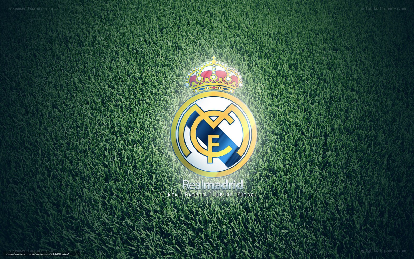 Real Madrid logo on grass