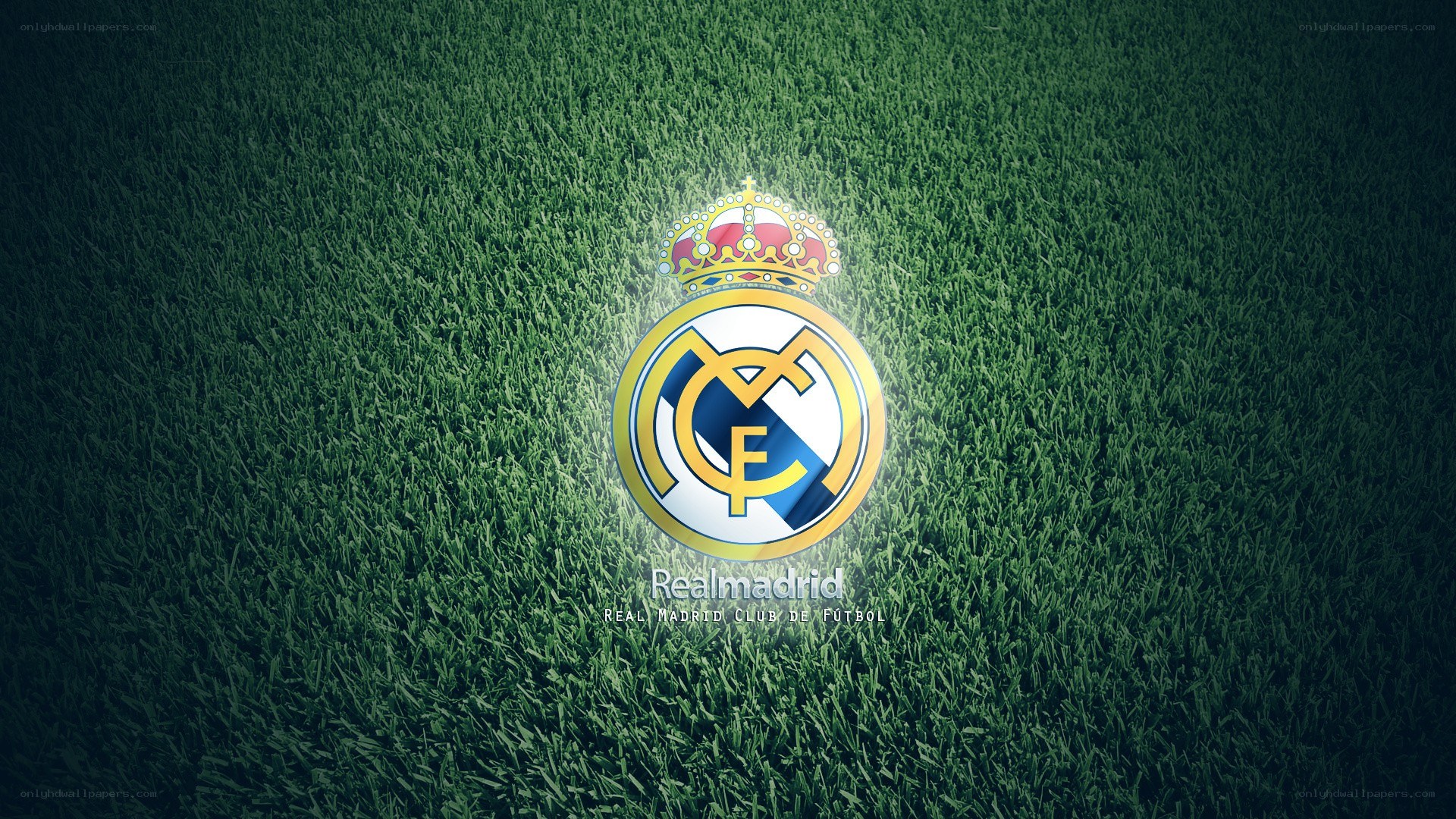 Real Madrid logo on grass