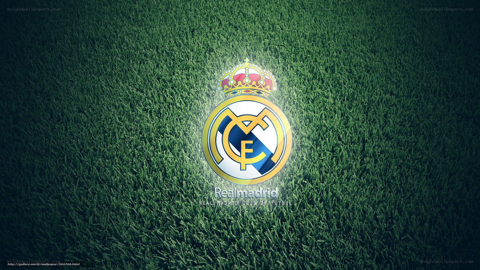 Real Madrid logo on grass