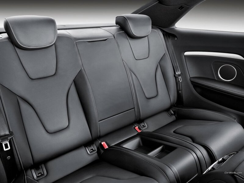 Rear Car Seats — Black, Neutral, Photograph, Seat Belts, Headrests