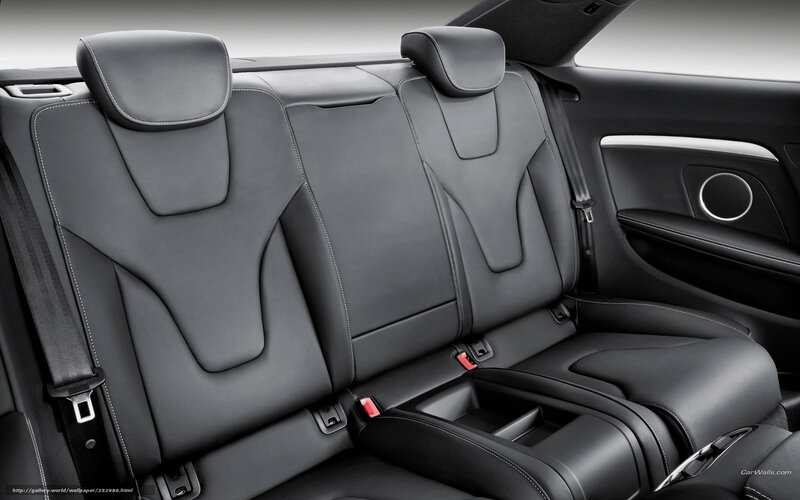 Rear Car Seats — Black, Neutral, Photograph, Seat Belts
