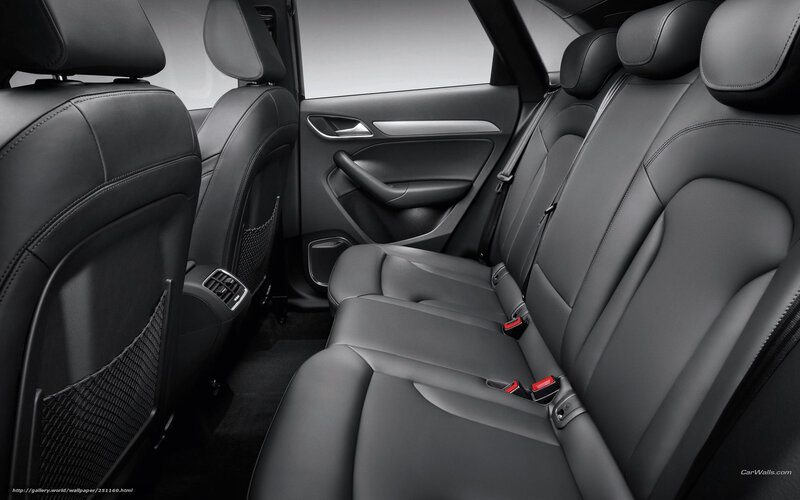 Rear Car Seats — Black, Neutral