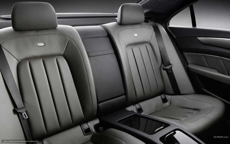Rear Car Seats — Gray