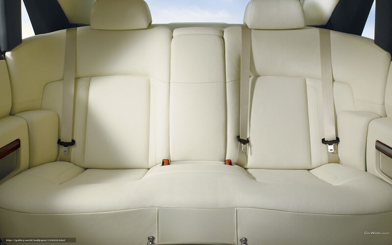 Rear Car Seats — White, Neutral