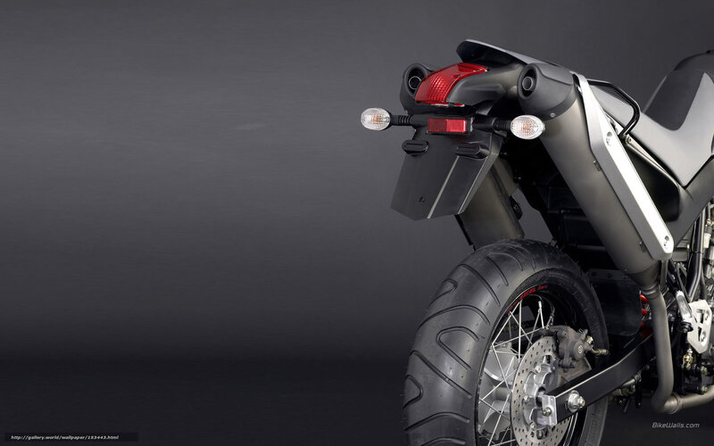 Rear of a Motorcycle — Black