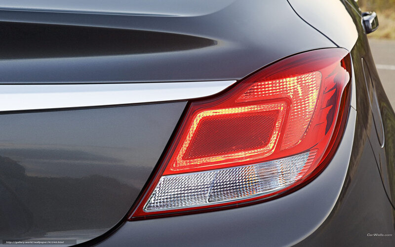 Rear of Gray Car — Neutral