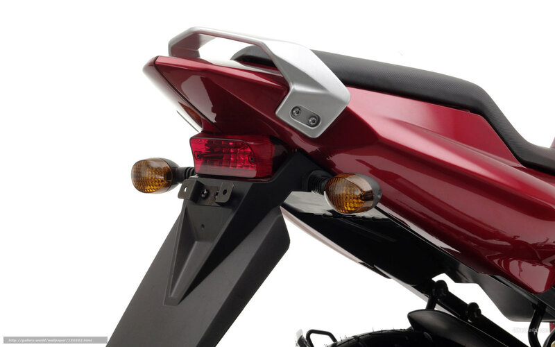 Rear of Red Motorcycle — Neutral
