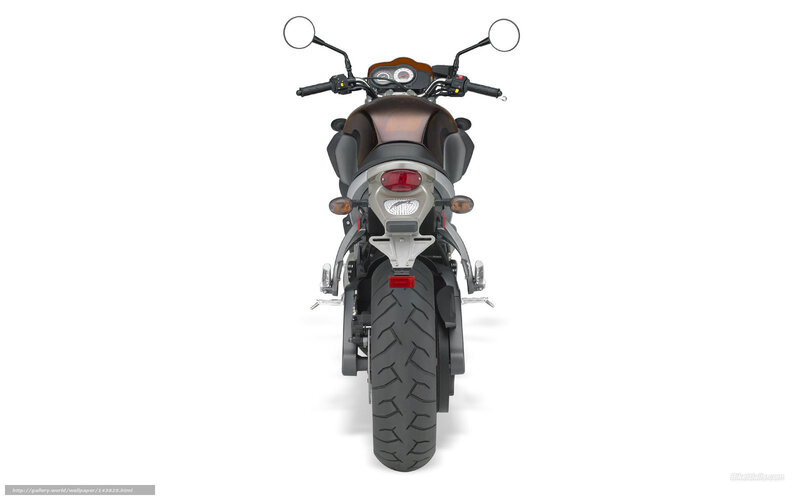 rear view of a motorcycle