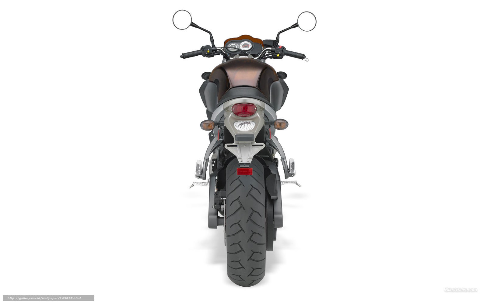 rear view of a motorcycle