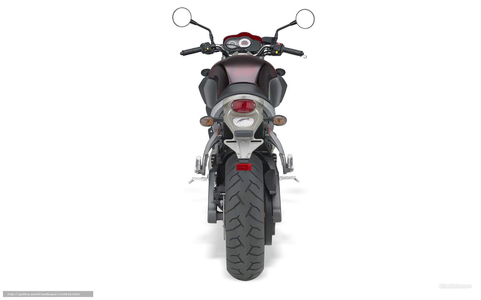 rear view of a motorcycle
