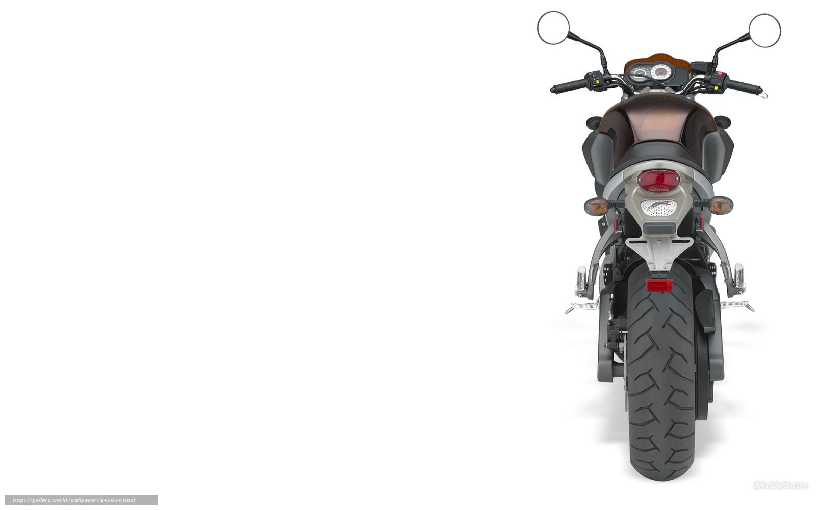 rear view of a motorcycle