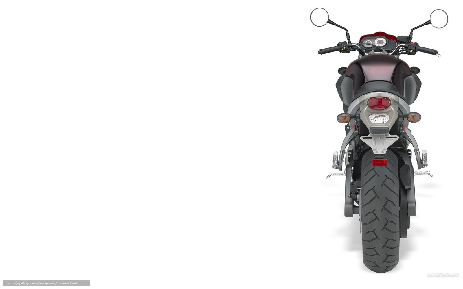 rear view of a motorcycle