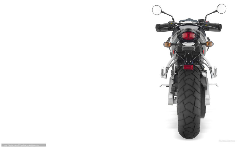 rear view of a motorcycle