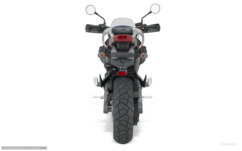 rear view of a motorcycle