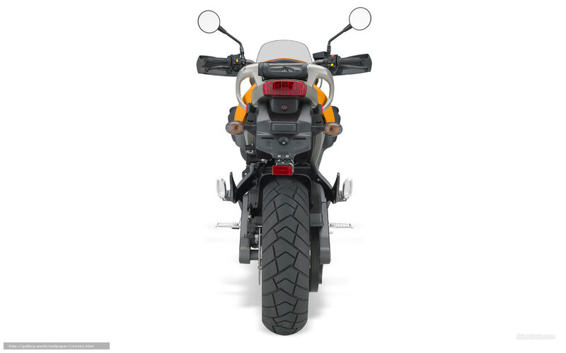rear view of a motorcycle