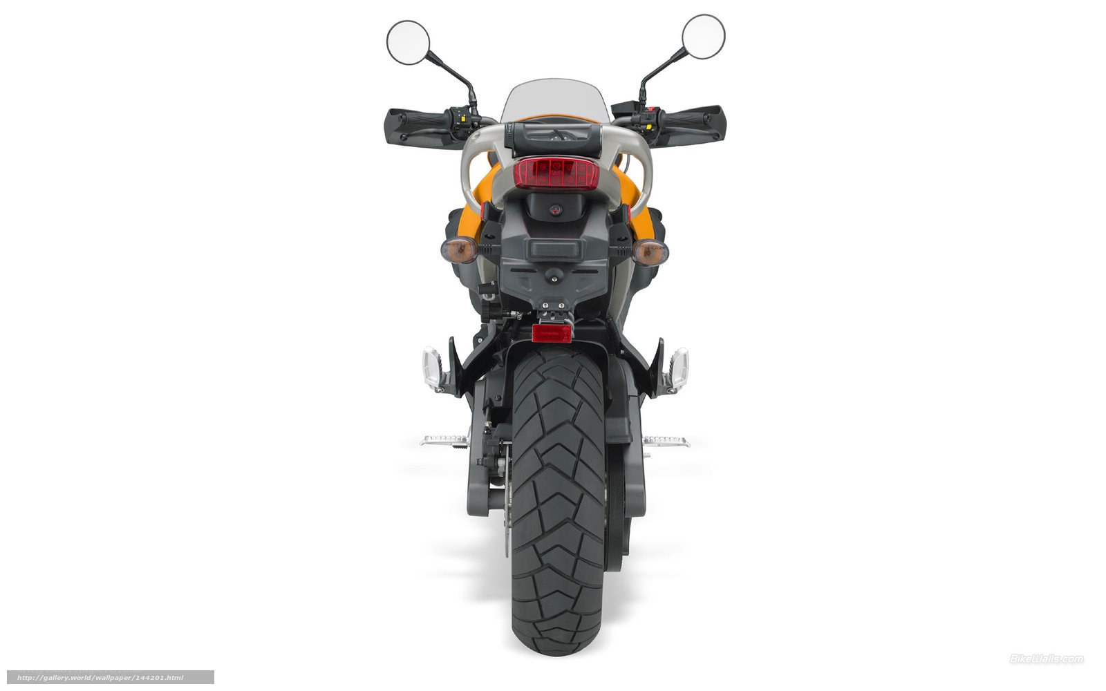 rear view of a motorcycle