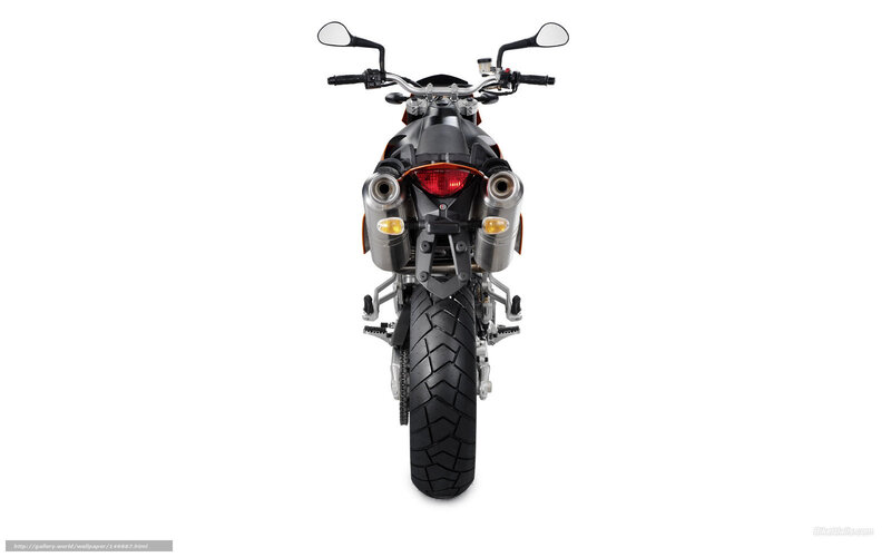 rear view of a motorcycle