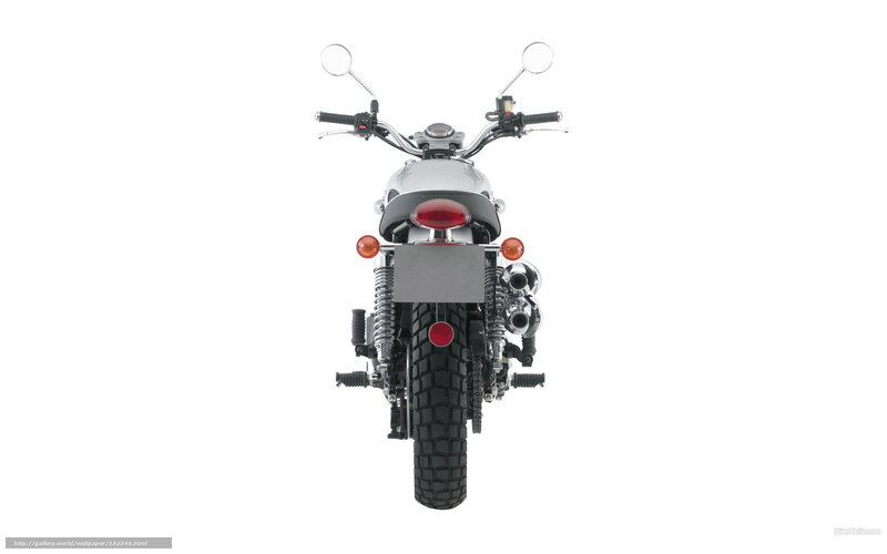 rear view of a motorcycle