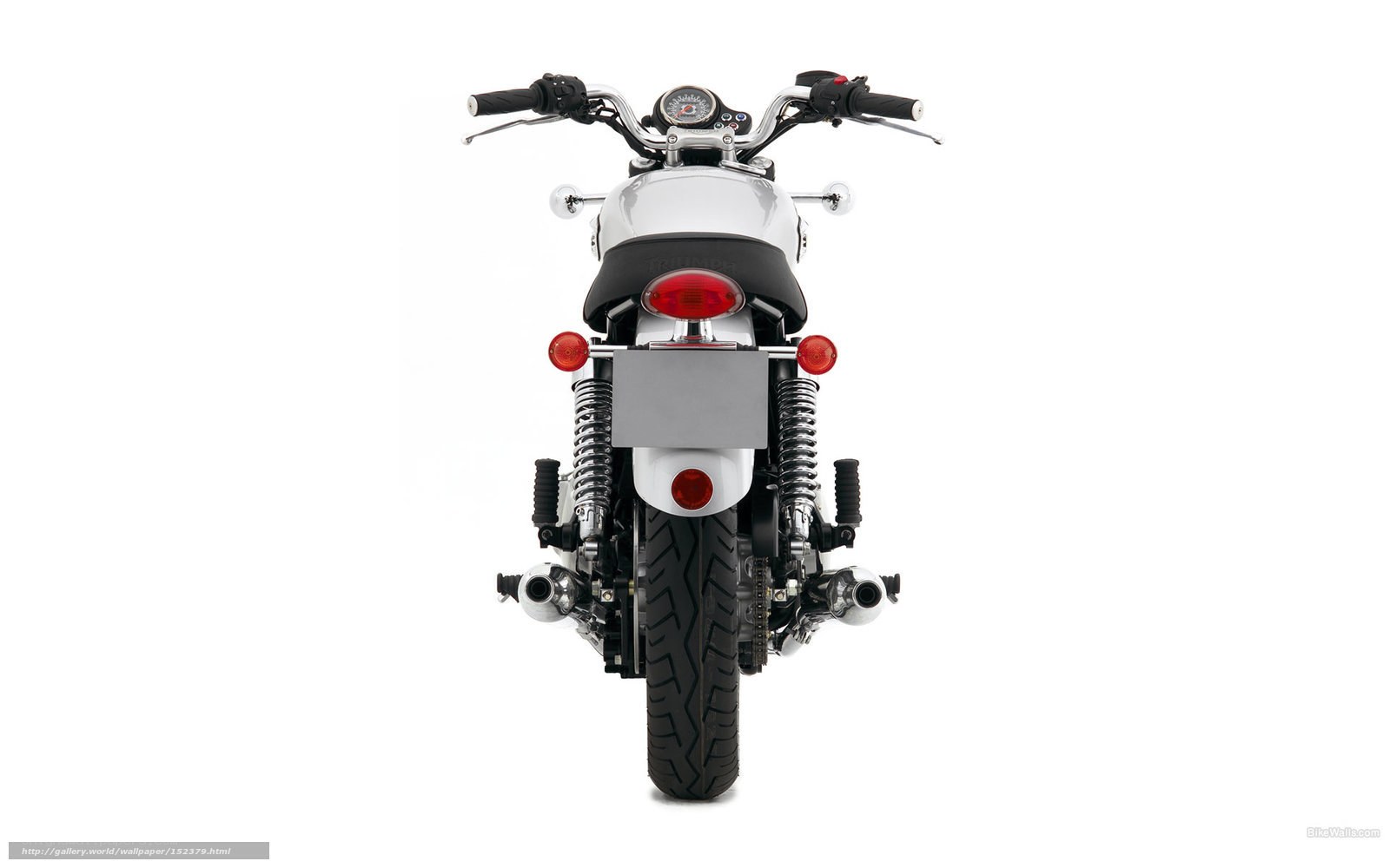 rear view of a motorcycle