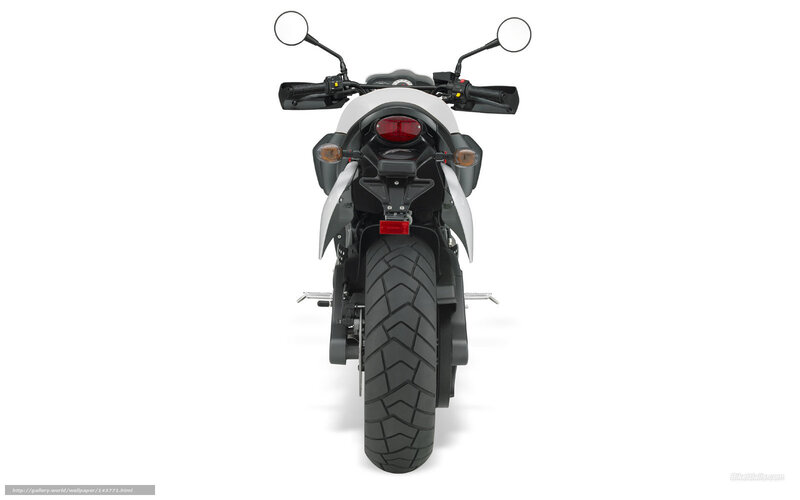 rear view of a motorcycle