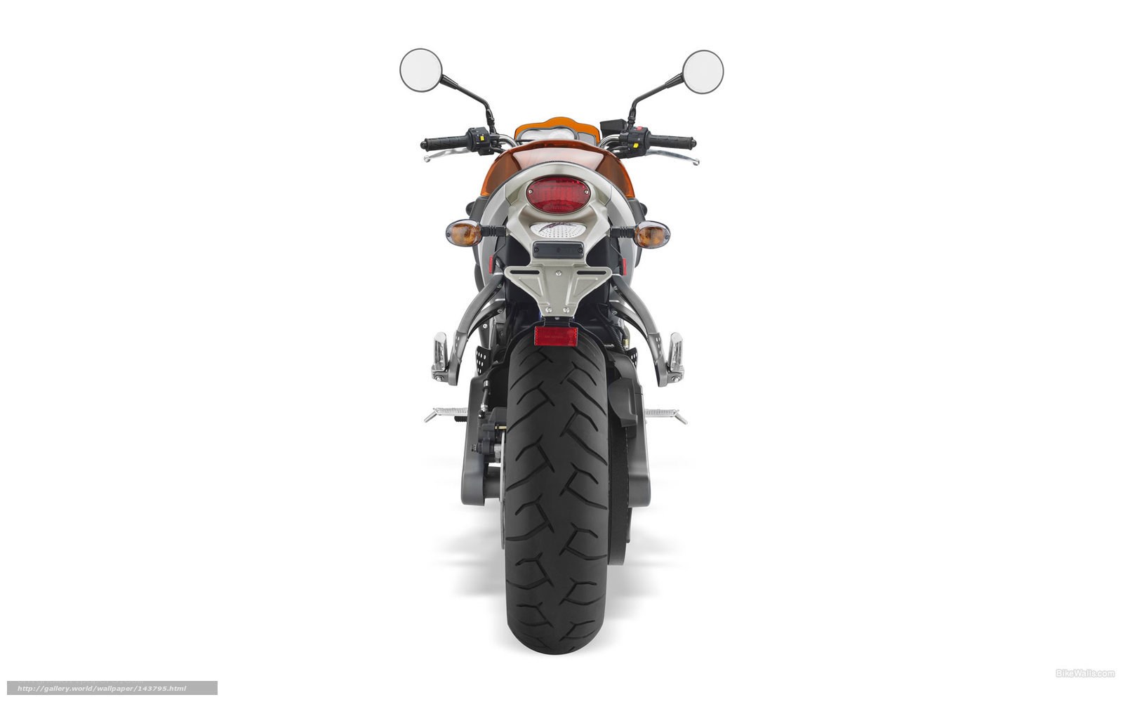 rear view of a motorcycle