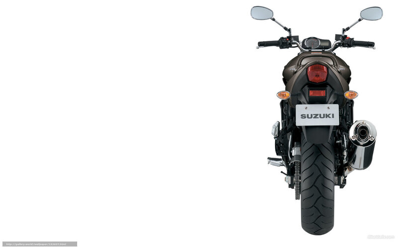 Rear View of a Motorcycle — Black, Neutral, Photograph, Exhaust Pipe