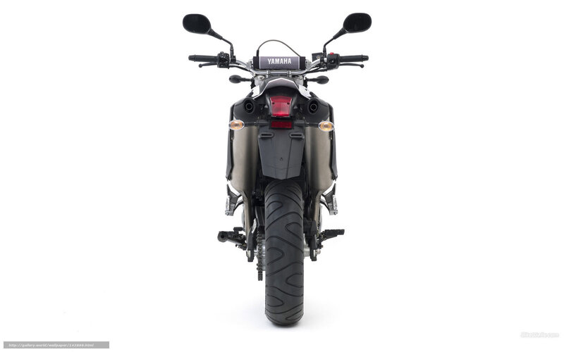 Rear View of a Motorcycle — Black, Neutral
