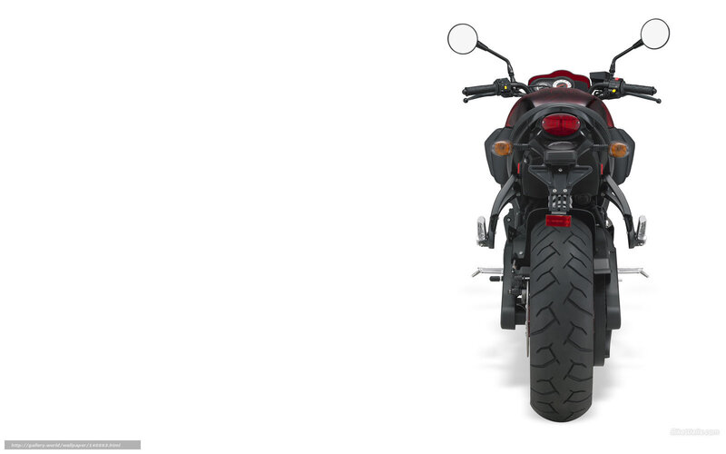 Rear View of a Motorcycle — Black
