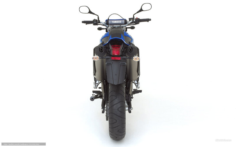 Rear View of a Motorcycle — Blue, Neutral