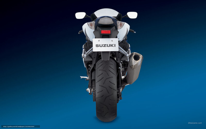 Rear View of a Motorcycle — Blue