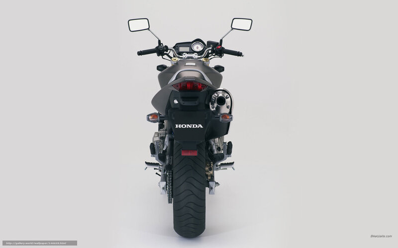 Rear View of a Motorcycle — Gray