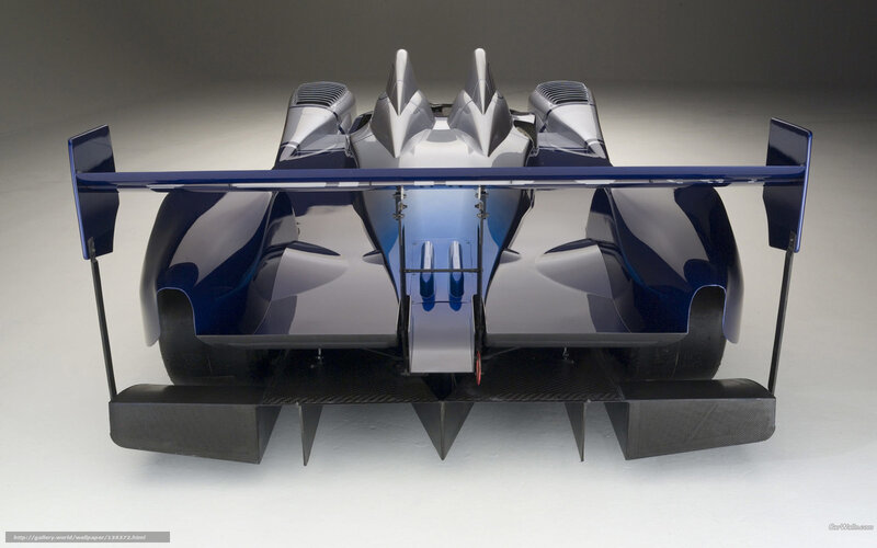 rear view of a race car