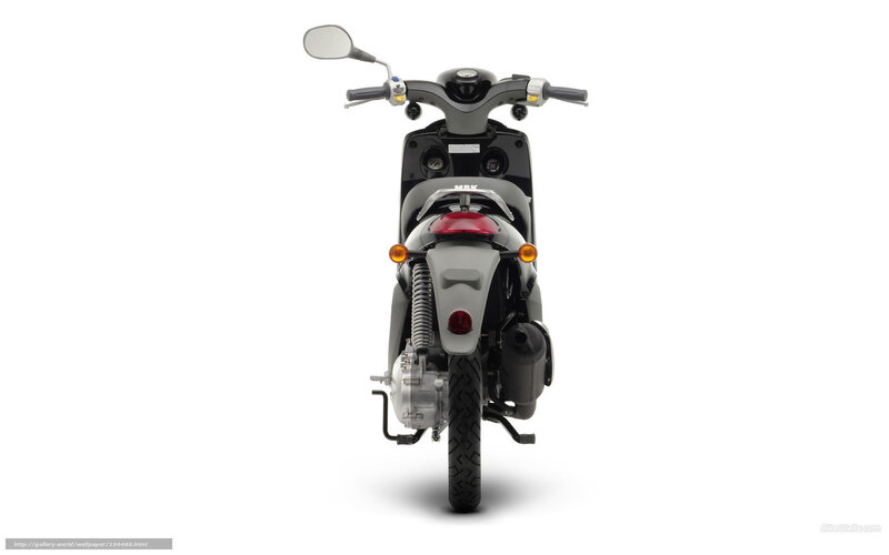 rear view of a scooter
