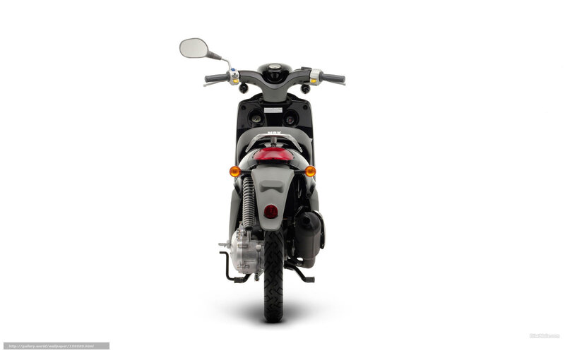 rear view of a scooter