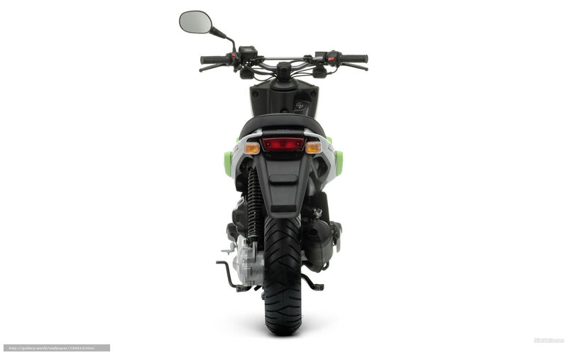 Rear View of a Scooter — Black