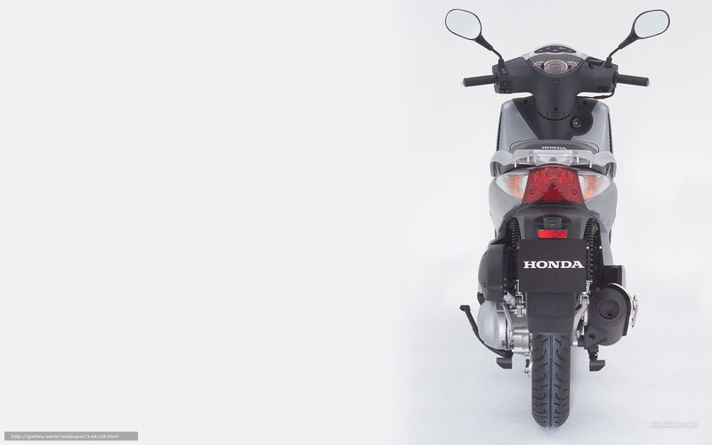 Rear View of a Scooter — Gray